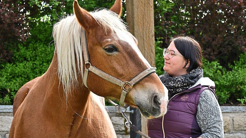 Stute Nella ist mit 21 Jahren die älteste Pferdedame auf dem Hof. Ihre Aufgabe wird heuer sein, Marias Neffen Benedikt sicher nach Steinbühl und wieder zurückzubringen.