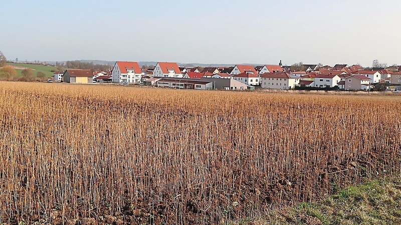 Fast 100 Bauplätze für Einfamilienhäuser, Gartenhofhäuser und Geschosswohnungsbau soll es im neuen Wohngebiet am nördlichen Ortsrand im Anschluss an das Gebiet "Am Regensburger Weg" geben.