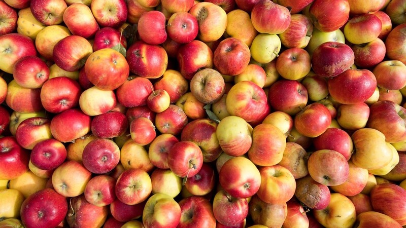 Äpfel liegen in einer Mosterei für die Verarbeitung zu Apfelsaft bereit. Stiftung Warentest hat mehrere Apfelsäfte untersucht und bewertet.