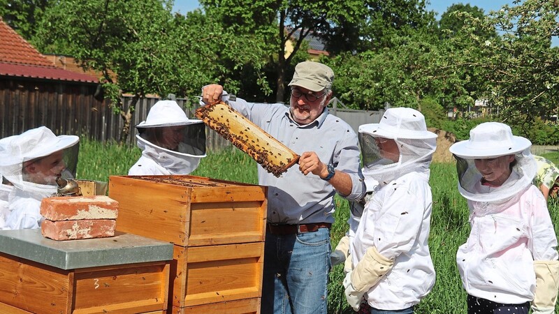 Imker Martin Schmidtler zeigt den Schülern den Aufbau eines Bienenstocks.