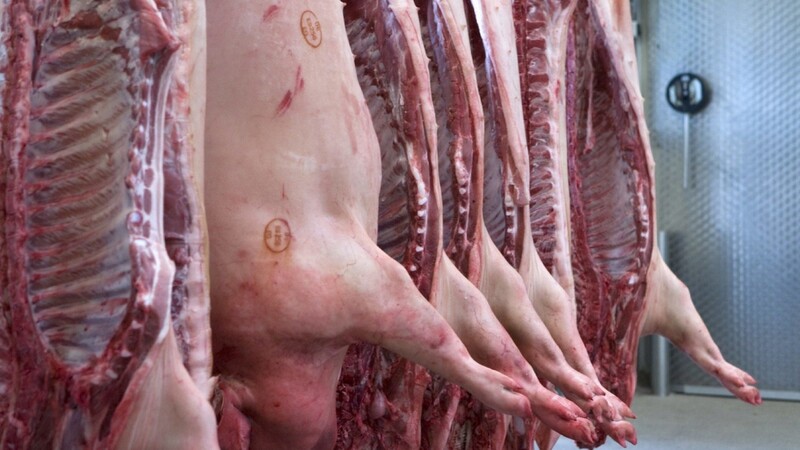 Mehrere bayerische Schlachthöfe sollen zum wiederholten Mal gegen das Tierschutzgesetz verstoßen haben.