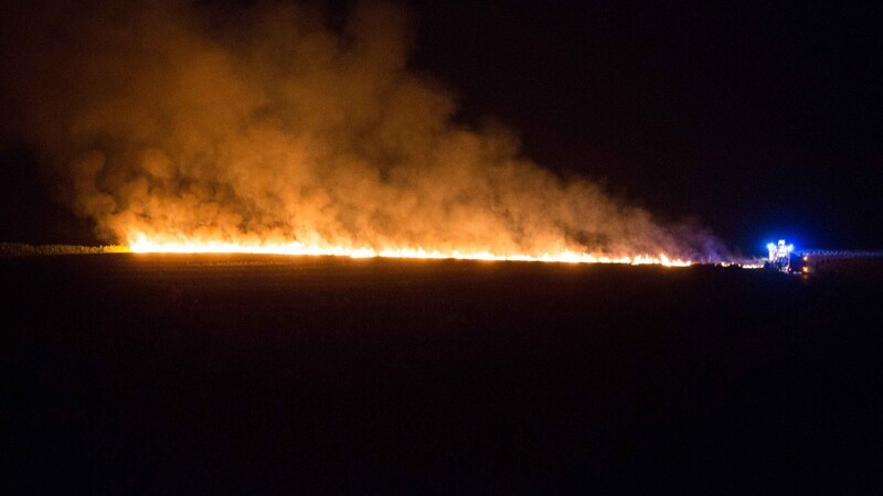 Ein Weizenfeld ist in der Nacht zum Dienstag abgebrannt.