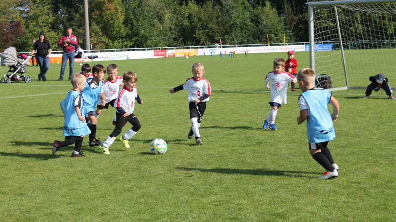 Auf kleinen Spielfeldern wurden die Kinder spielerisch an den Fußball herangeführt.