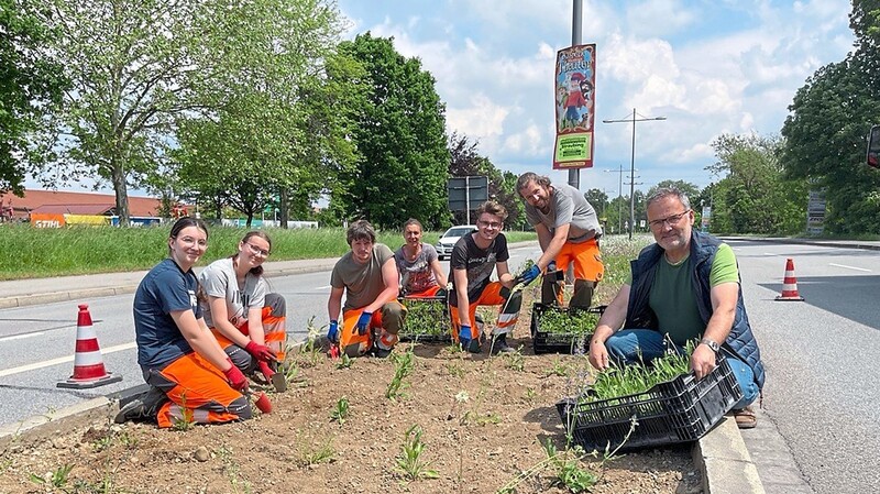 Jörg Mildenberger (rechts) hat am Dienstagnachmittag gemeinsam mit Auszubildenden und Mitarbeitern der Stadtgärtnerei Teile des Mittelstreifens an der Ittlinger Straße bepflanzt.  Foto: