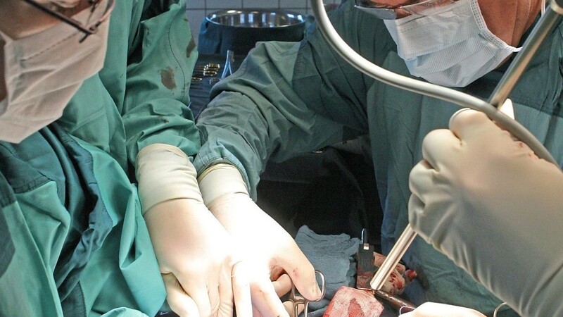 Ärzte entnehmen eine Niere, die für die Organspende vorgesehen ist.