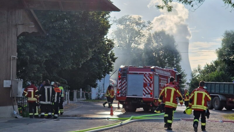 In einer Schweinemastanlage im Kreis Landshut ist am Donnerstagmorgen ein Brand ausgebrochen. Etliche Tiere sind dabei verendet.
