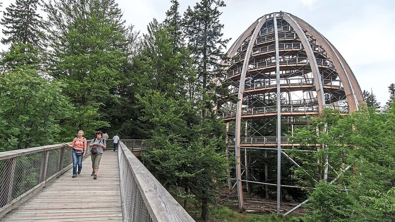 Der Baumwipfelpfad nahe Neuschönau im Bayerischen Wald gehört zu den beliebten Ausflugszielen bei Touristen und Einheimischen. Seit der Pandemie kommen weniger ausländische Besucher in die Region.