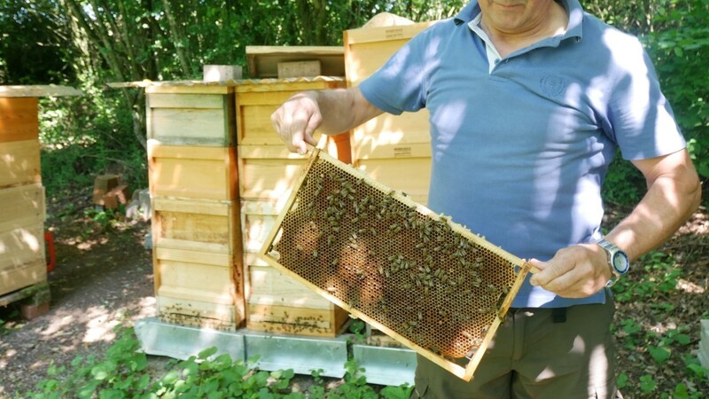 Wie viele seiner Kollegen musste Hobby-Imker Bartholomäus Frey in diesem Frühjahr seine Honigbienen zufüttern.