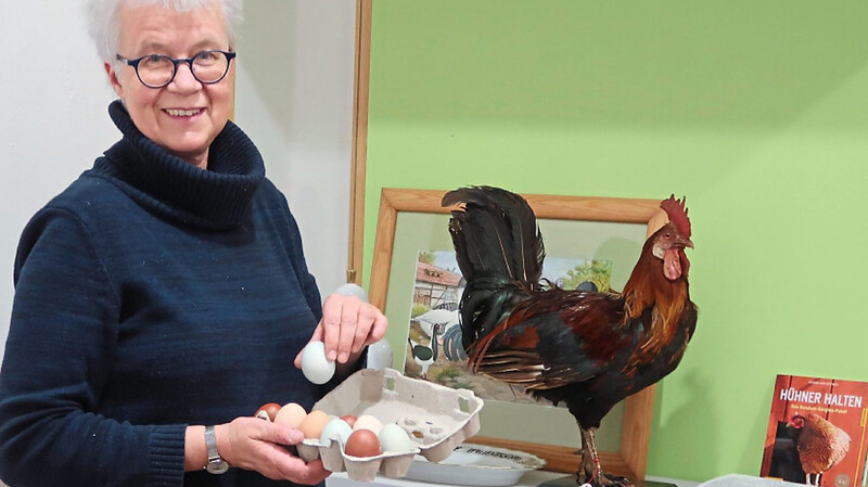 Museumsleiterin Barbara Michal mit Huhn und Eiern: Das Interesse an privater Hühnerhaltung ist in den letzten Jahren wieder erwacht. Geschlachtet und gegessen werden diese Hühner jedoch oft nicht mehr.