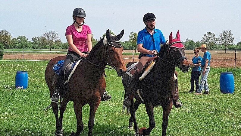 Beim Orientierungsritt mit Geschicklichkeitsturnier zeigen Reiter und Pferde ihr Können.