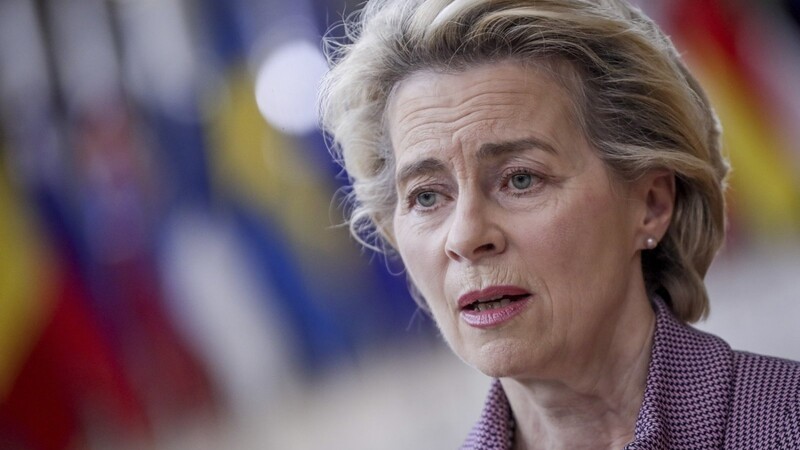 Spitzenvertreter werfen der EU-Kommissionspräsidentin Ursula von der Leyen vor, die Kommission strukturlos zu führen und die Kontrolle über sie verloren zu haben.
