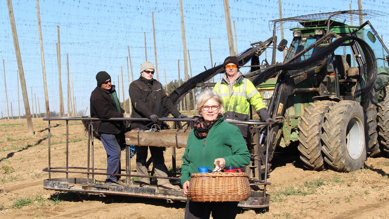 Bäuerin Ursula Pichlmeyer bringt den Arbeitern, die in diesen Wochen die Drähte in den Hopfengärten in sieben Meter Höhe befestigen, die Brotzeit zur Vormittagspause aufs Feld.