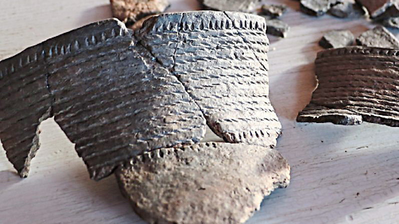 Einzigartiger Fund: Reste eines schnurkeramischen Bechers. Die Scherben sind über 4 500 Jahre alt.