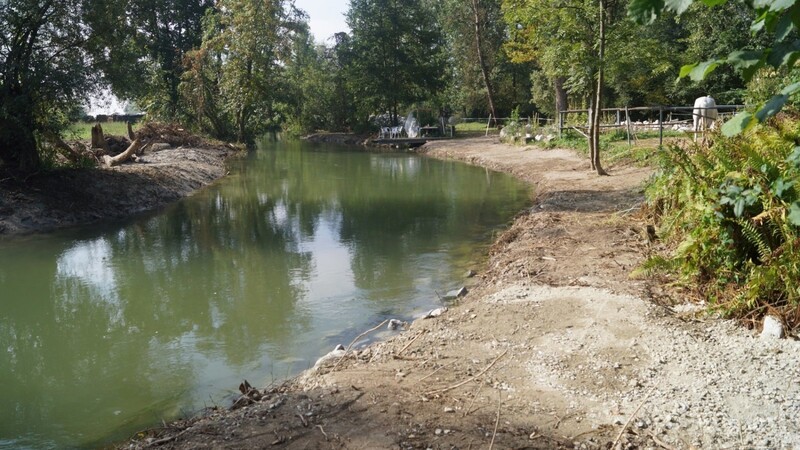Frisch aufgeschüttet sieht man am besten, wie viel Ufer der Mühlbach schon abgetragen hatte. Nun ist der ursprüngliche Zustand wieder hergestellt.