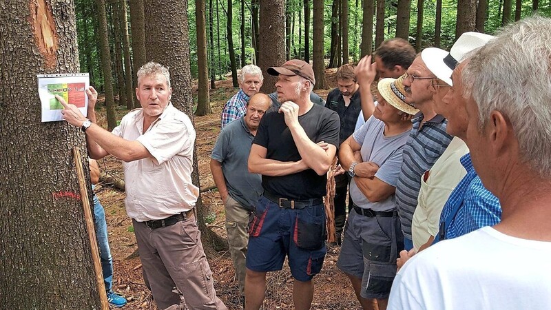 Der Further Revierförster Jürgen Köbler zeigte an mehreren Fichten die unterschiedlichen Befallstadien mit Borkenkäfern auf und hielt für die Waldbesitzer Handlungsanleitungen bereit.