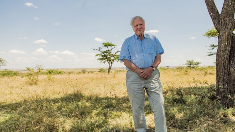 David Attenboroughs Botschaft lautet: Wir müssen auf unseren Planeten achtgeben, bevor es schon bald zu spät ist.
