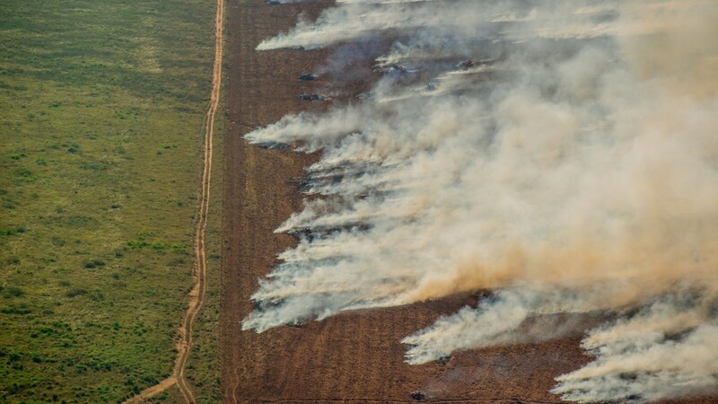 Auf diesem Greenpeace Brasilien zur Verfügung gestellten Bild ist eine brennende Waldfläche in Nova Maringa zu sehen. Jedes Jahr überfliegt Greenpeace Brasilien das Amazonasgebiet, um die sich aufbauende Entwaldung und die Waldbrände zu überwachen.