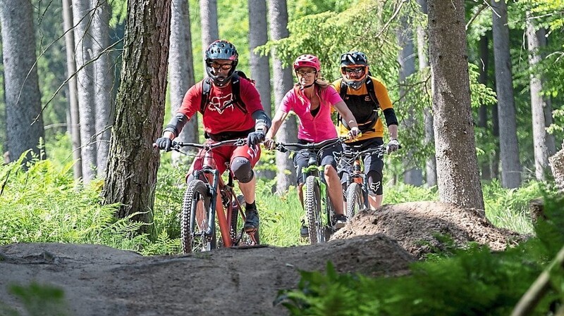 Für Mountainbiker gibt es im Raum Schwarzach zahlreiche, markierte Wege, die gern genutzt werden. Einzelne Fahrer radeln aber quer durch den Wald - was für die Wildtiere eine große Belastung ist.