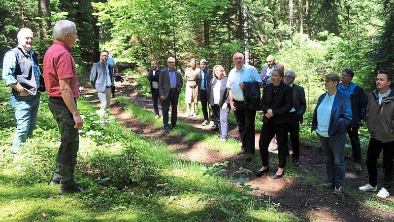 Nach der Sitzung im Lohberger Dorfstadl ließen sich die Umweltausschussmitglieder im Wald von Wolfgang Koller (2.v.li.), die regionale Wertschöpfung von Holz erklären. Zuvor hatte sich das Gremium für die Einrichtung eines Holzmanagers für den Landkreis Cham stark gemacht.