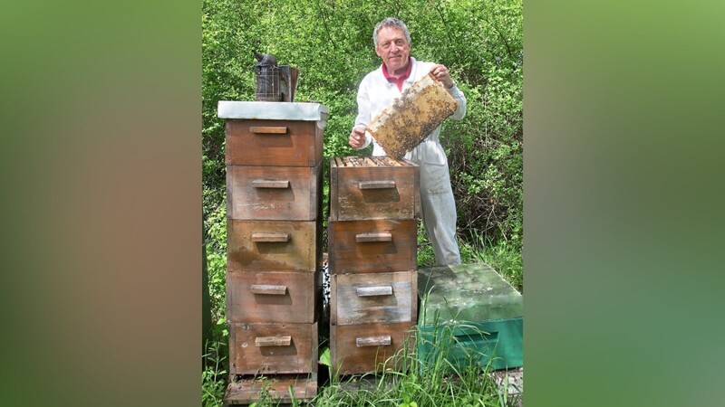 Selmansberger liegen alle Insekten am Herzen - nicht nur die Honigbienen.