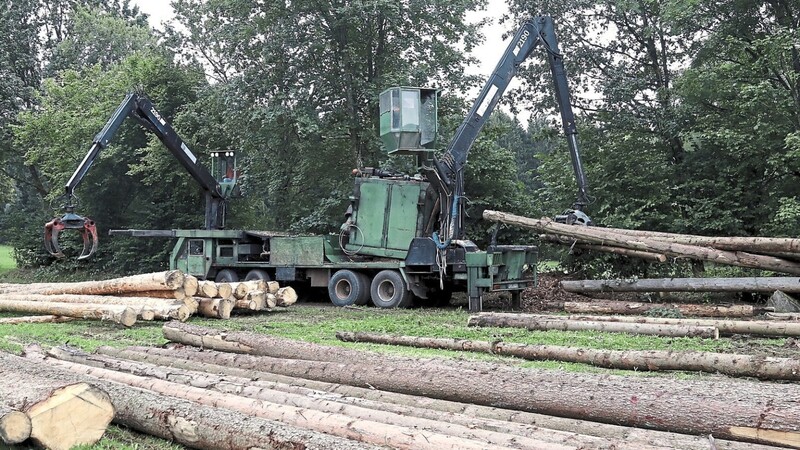 Groß, stark, grün: Mit der 40 Tonnen schweren Maschine können innerhalb kurzer Zeit Käferbäume entrindet werden.