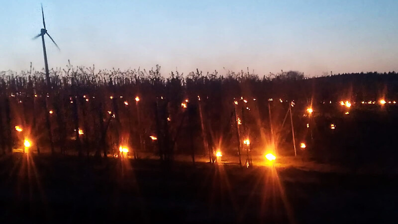 Ungewöhnliches Bild in der Kalsinger Obstbaumplantage: Gleichmäßig verteilte Feuerstellen beugen in der Nacht zum Samstag erfolgreich einem drohenden Schaden durch Frost vor.