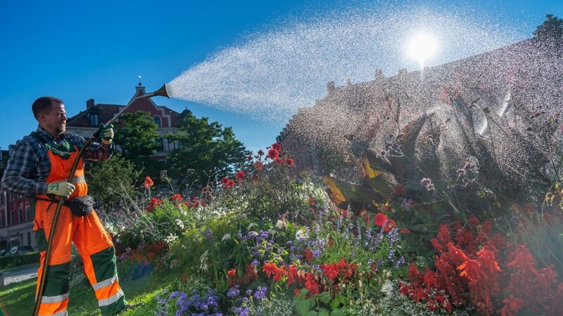 Ein Mitarbeiter der Stadt gießt in den Morgenstunden die Blumenbeete am Gärtnerplatz. Deutschland steht eine Hitzewelle bevor.