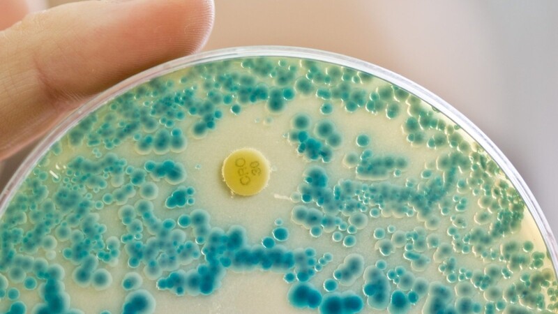 Rund 33.000 Menschen sterben europaweit jährlich infolge von Antibiotika-Resistenzen.