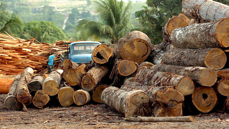 Eine Holzfabrik in Brasilien: Laut WWF gingen 2017 16 Prozent der Tropenwaldabholzung auf das Konto der Europäer.