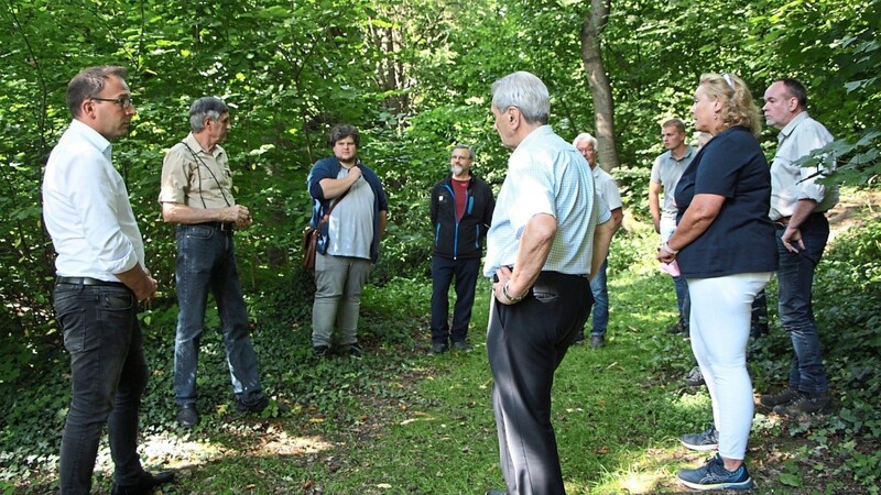Bürgermeister Martin Stoiber (links) erläutert den Anwohnern und Stadträten, welche Maßnahmen im Hermann-Lagally-Garten ergriffen werden müssen.