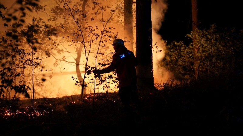 Ein Feuerwehrmann löscht einen Waldbrand.