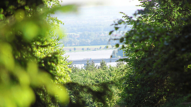 Blick vom Rauhenberg auf die Donaubrücke Kiefenholz. In diesem Waldareal ist ein Steinbruch geplant. Nun findet der Erörterungstermin statt.