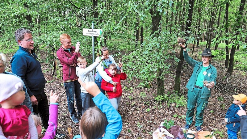 Gebannt verfolgten die Kinder die Ausführungen der Waldpädagogin (passend gekleidet in Grün) am Waldlehrpfad in Parnkofen.