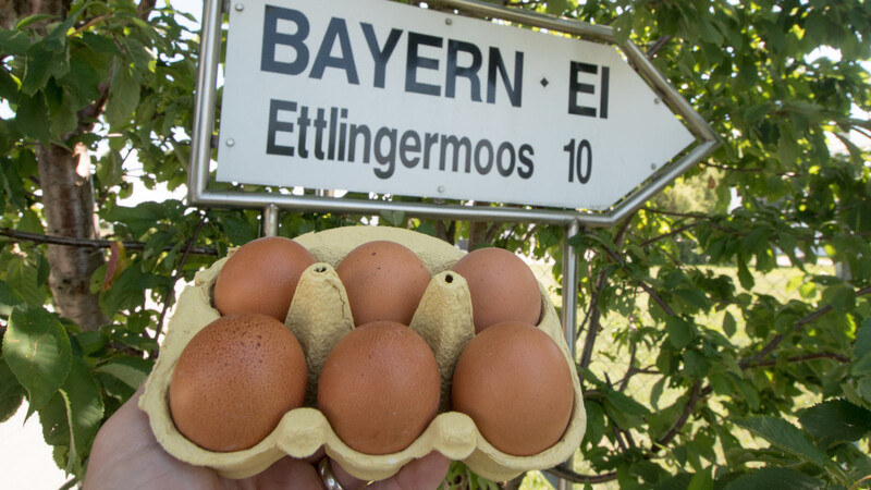Zeugenaussagen brachten im Bayern-Ei-Prozess am Dienstag keine neuen Erkenntnisse.