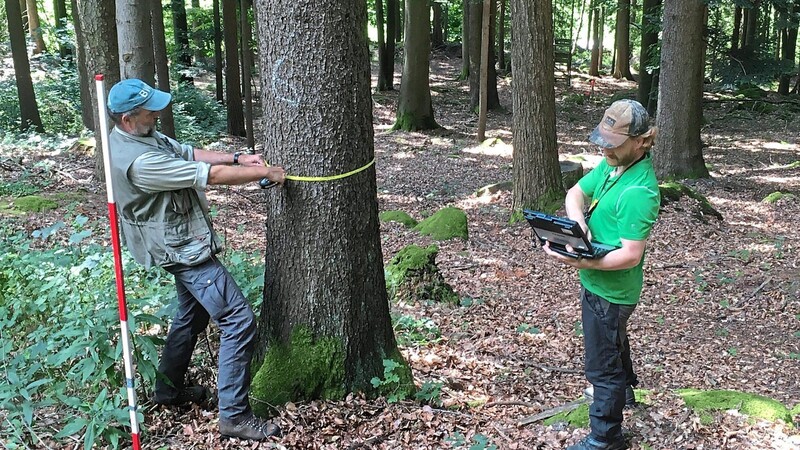 Dirk Wahl misst den Baum Nummer sechs; sein Kollege Johannes Pemsel trägt die Daten gleich in den Laptop ein.