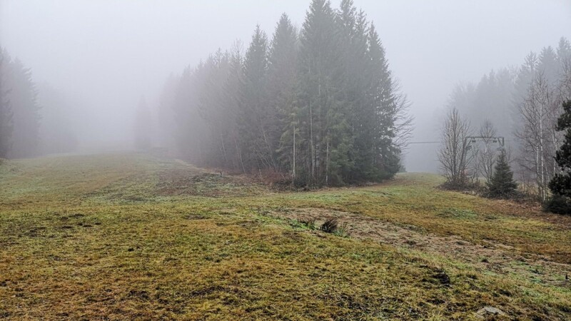 Verhangen vom Nebel präsentiert sich der Hang am Voithenberg grün und braun statt weiß.