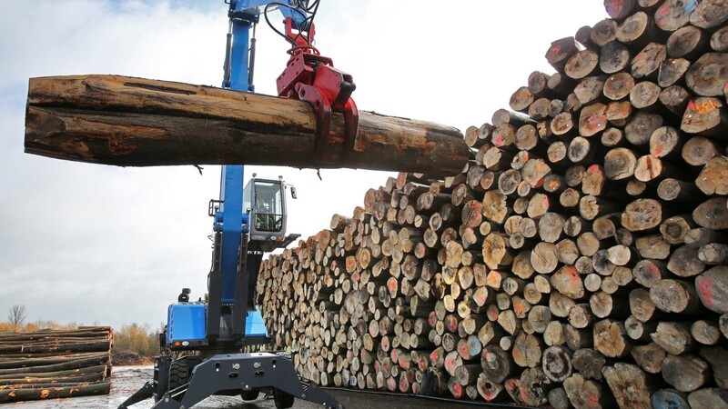 Große Sägewerke profitieren insgesamt vom Holzüberschuss durch Trockenheit und Schädlinge - bei den Waldbesitzern sieht es anders aus. (Symbolbild)