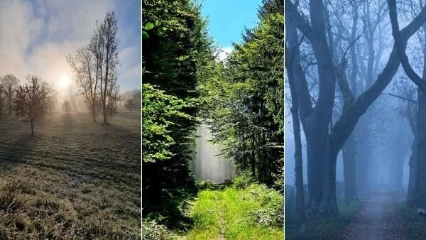 Der Nebel lichtet sich - es klart auf. Bäume werfen ihre Schatten voraus und Sonnenstrahlen brechen durch die Äste. Das Zusammenspiel von Licht und Natur ist faszinierend und lässt uns staunen. Lassen Sie sich ebenso faszinieren von den folgenden Bildern, die allesamt in Ostbayern, im Speziellen in Niederbayern aufgenommen wurden.