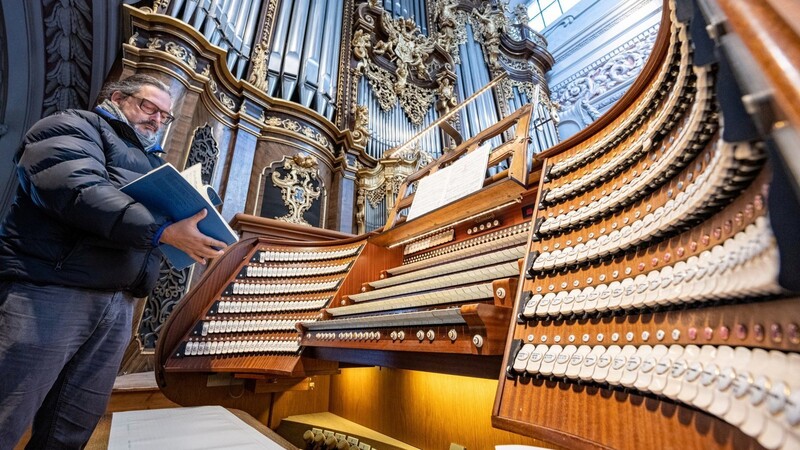 Die Orgel Befindet sich im Dom St. Stephan.