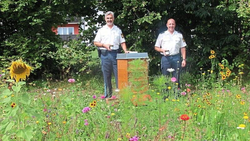 Polizeihauptmeister Peter Schneider (links), der sich um die Bienen kümmert, und Stationsleiter Polizeihauptkommissar Christian Pongratz präsentieren den Bienenstock, der auf der Blühwiese hinter der Polizeistation steht.