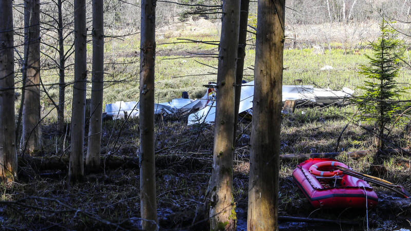 Das Flugzeug zerschellte in einem Wald.