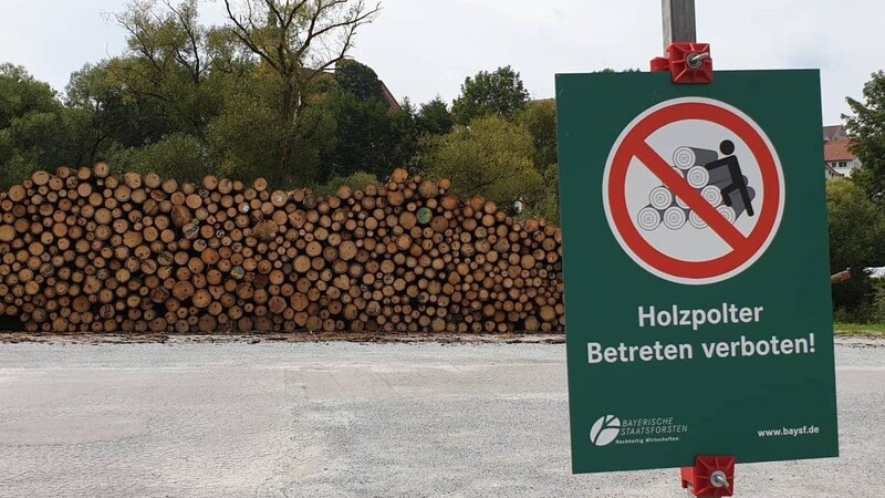 Die ersten 50 Festmeter wurden am Dienstag angeliefert. Das Betreten der Holzpolter ist streng verboten - zu hoch ist die Gefahr, abzurutschen oder sich zwischen den Fichtenstämmen einzuklemmen.