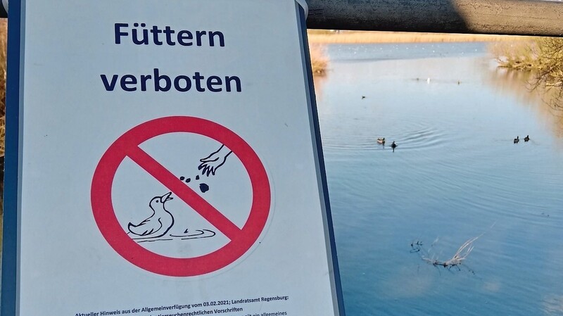 Aktuell besteht am Pfatterer Brückl ein Fütterungsverbot für Wildvögel wie Enten und Gänse.