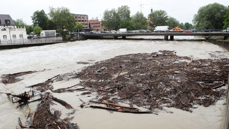 Durch das Hochwasser vergangene Woche wurde Holz und Baumstämme angespült. Das soll nun bei Kranarbeiten am Isargestade entfernt werden.