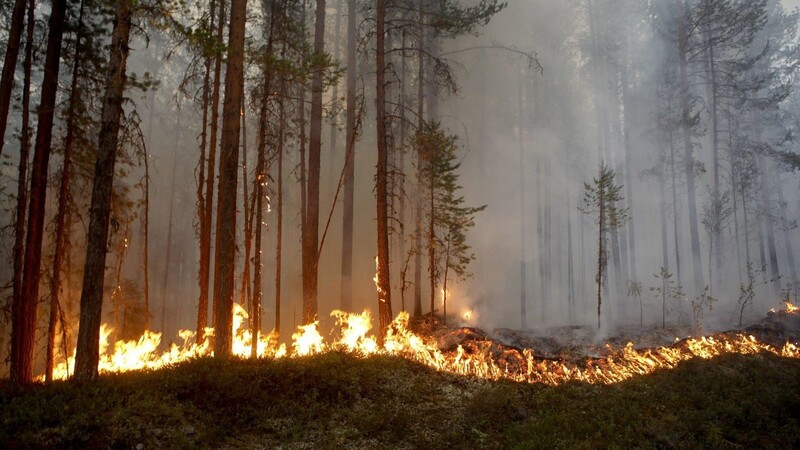 In Schweden lodern im Moment rund 70 Brandherde.