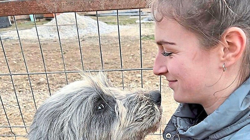 Der jüngste Besuch des rumänischen Tierheims Ende Februar wurde für die im Tierschutz ehrenamtlich aktive Alisa Rußwurm zum Albtraum.