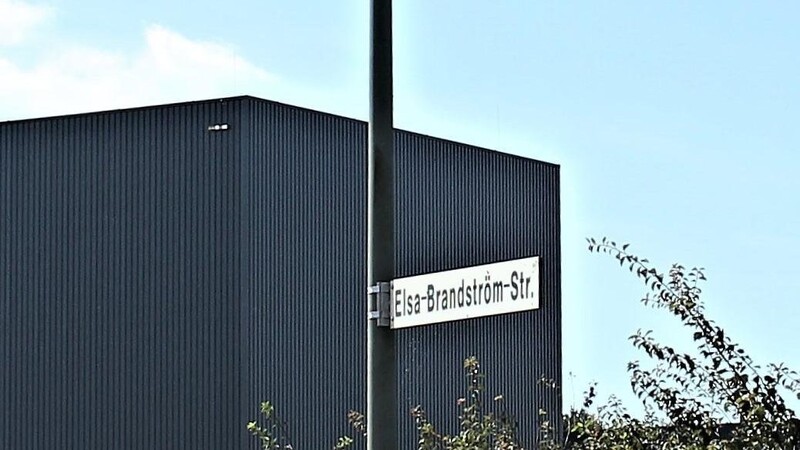 Einige Anwohner in der Elsa-Brandström-Straße in Michelsdorf hören und spüren seit Juli tieffrequenten Schall. Als Erstes gerieten Maschinen der benachbarten Firma Ensinger in Verdacht.