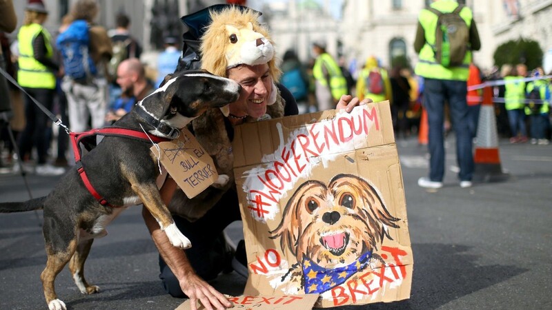 Ein Hund leckt während einer Demonstration seinem Herrchen das Gesicht. Hundebesitzer sind mit ihren Hunden zum Parliament Square marschiert und haben in einem "Wooferendum" eine Volksabstimmung über den Brexit gefordert. Der humorvolle Protest soll nach Angaben der Veranstalter zu Menschen durchdringen, die beim trockenen Thema EU-Austritt schon abgeschaltet haben.