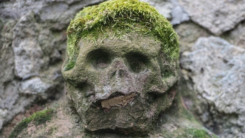 Grabschändung in Amberg! Dort haben Unbekannte unter anderem einen Kinderschädel aus einem mittelalterlichen Pestgrab gestohlen. (Symbolbild)