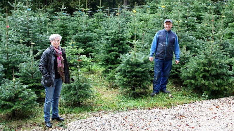 Landrätin Rita Röhrl machte sich ein Bild vor Ort und besuchte Christian Achatz in der Christbaumplantage.